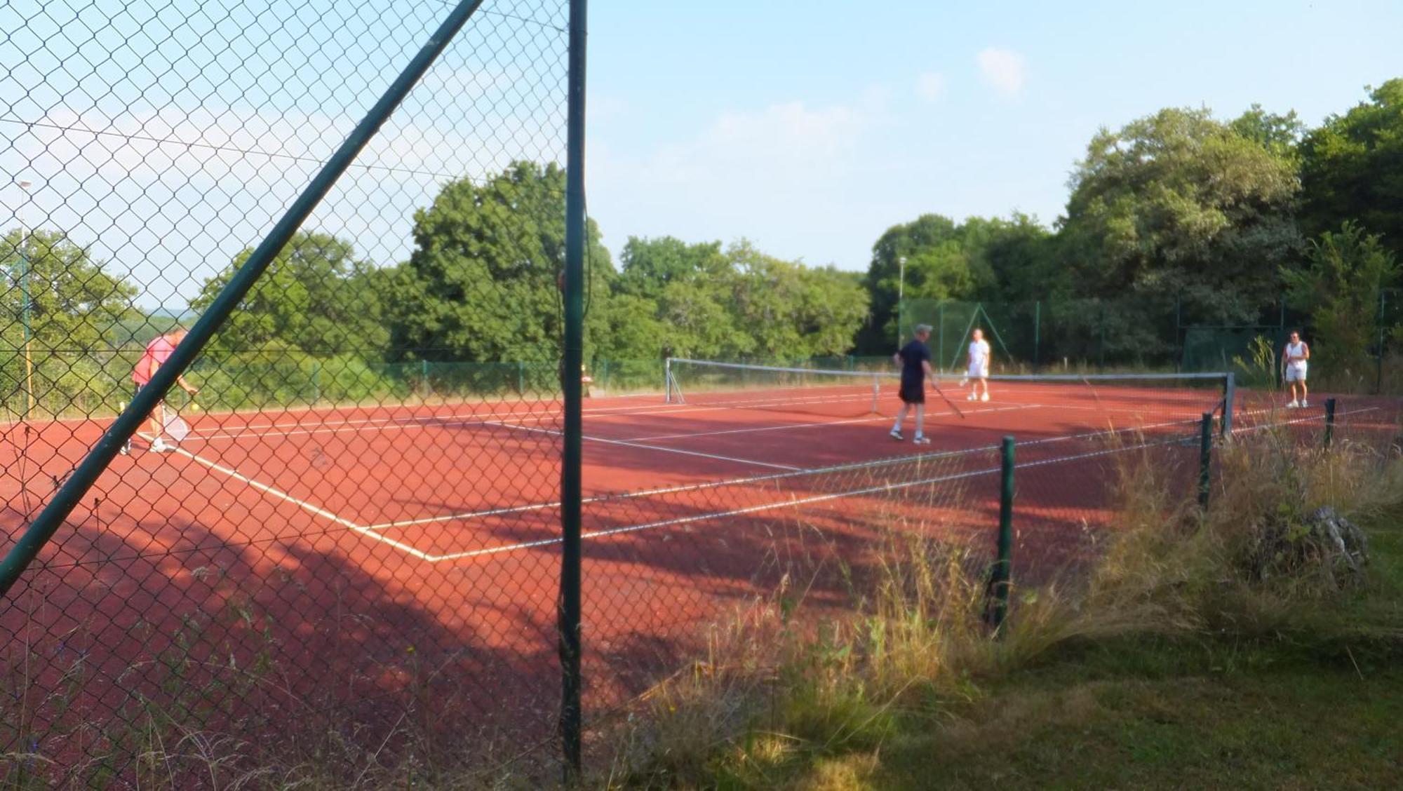 La Vache Tennis Prive Crux-la-Ville Dış mekan fotoğraf